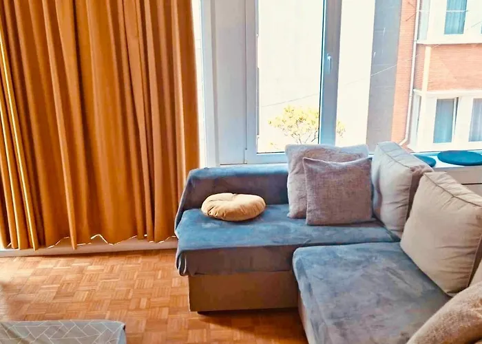 公寓 Katriens Casino View 奥斯滕德